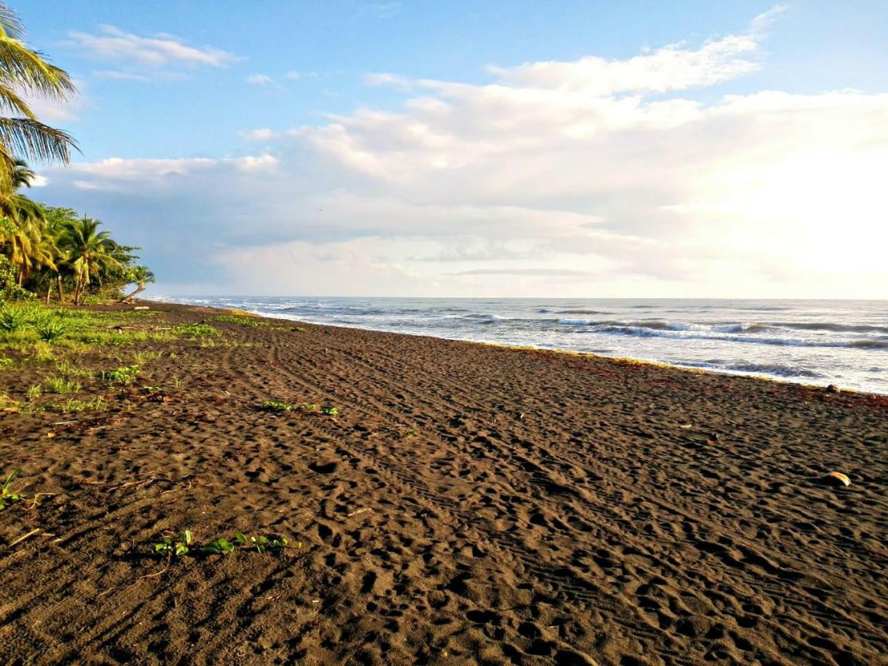 Casa Turtle Bogue Hotel ตอร์ตูเกโร ภายนอก รูปภาพ